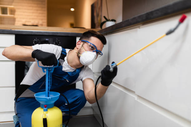 Best Best Pest Control Companies  in Ardmore, TN