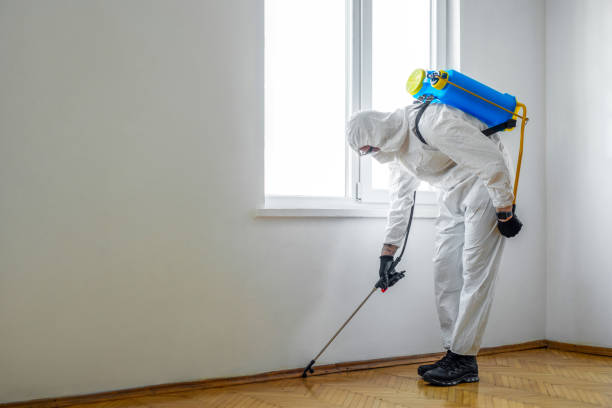 Best Residential Pest Control  in Ardmore, TN