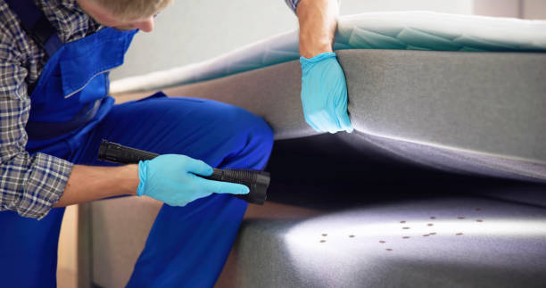 Best Bed Bug Extermination  in Ardmore, TN