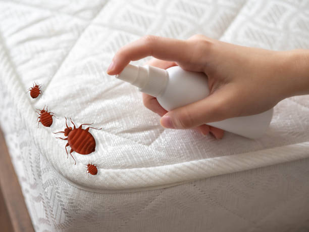 Best Flea Control Services  in Ardmore, TN