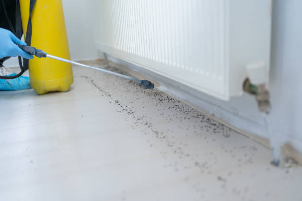 Best Residential Pest Control  in Ardmore, TN