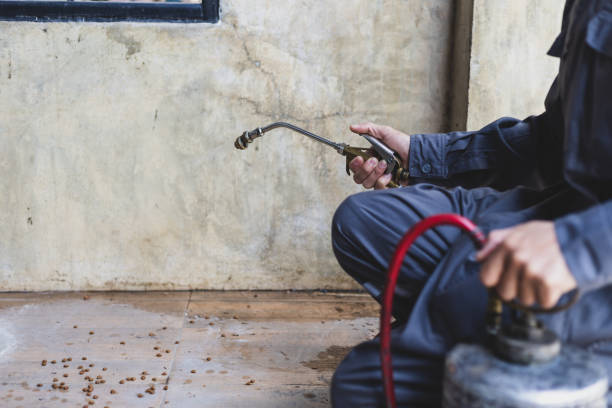 Best Emergency Pest Control  in Ardmore, TN