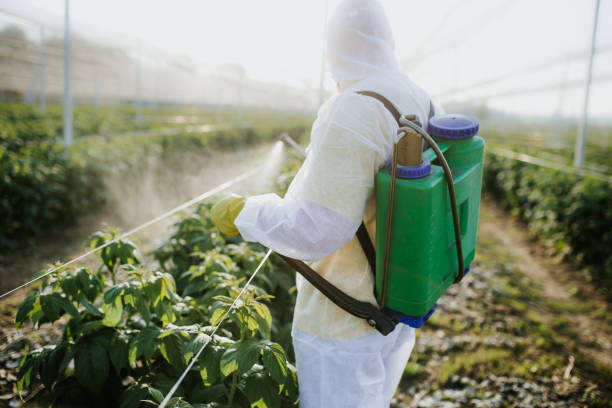 Best Commercial Pest Control Services  in Ardmore, TN